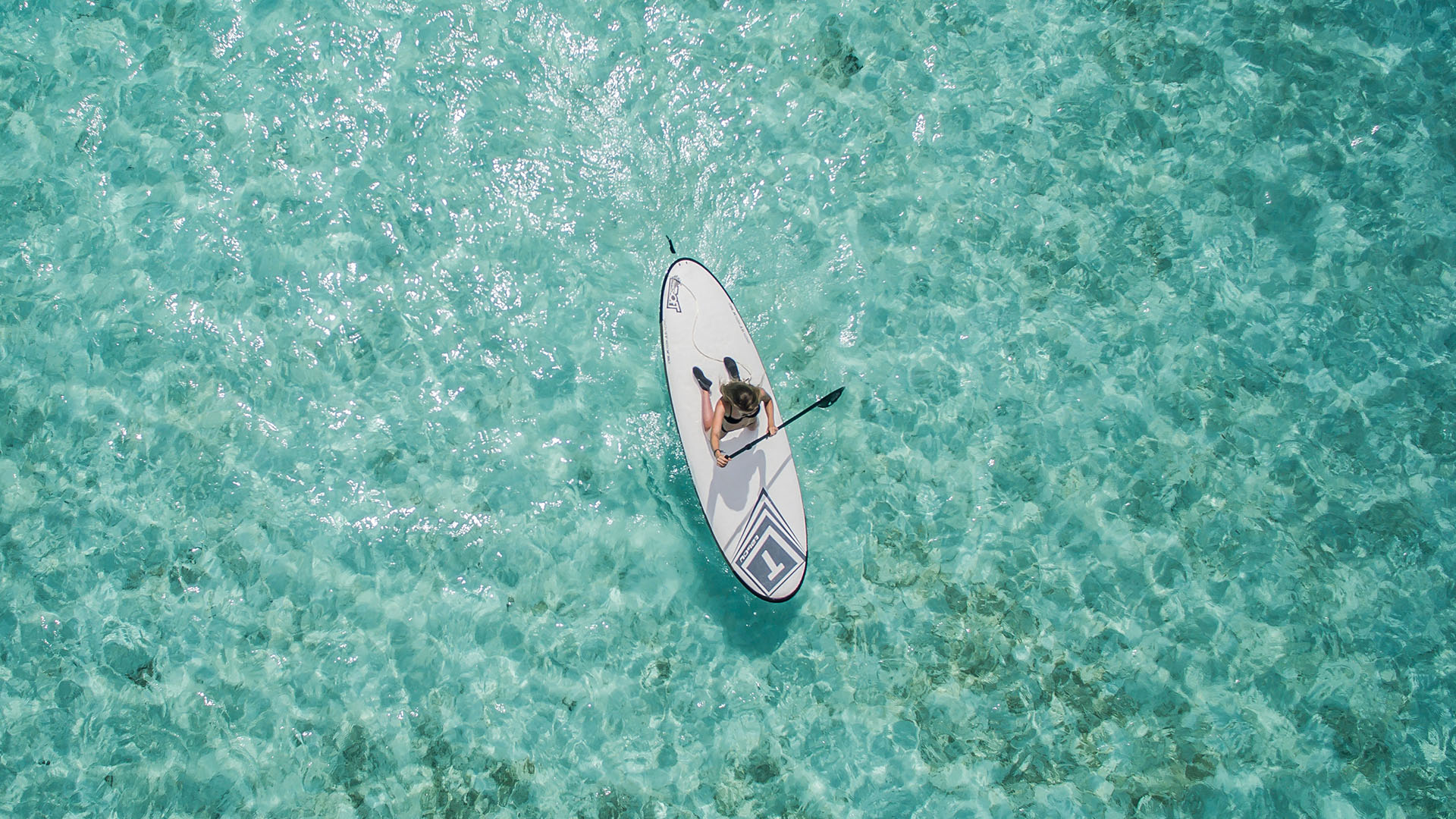 Paddle boarder in Hawaii