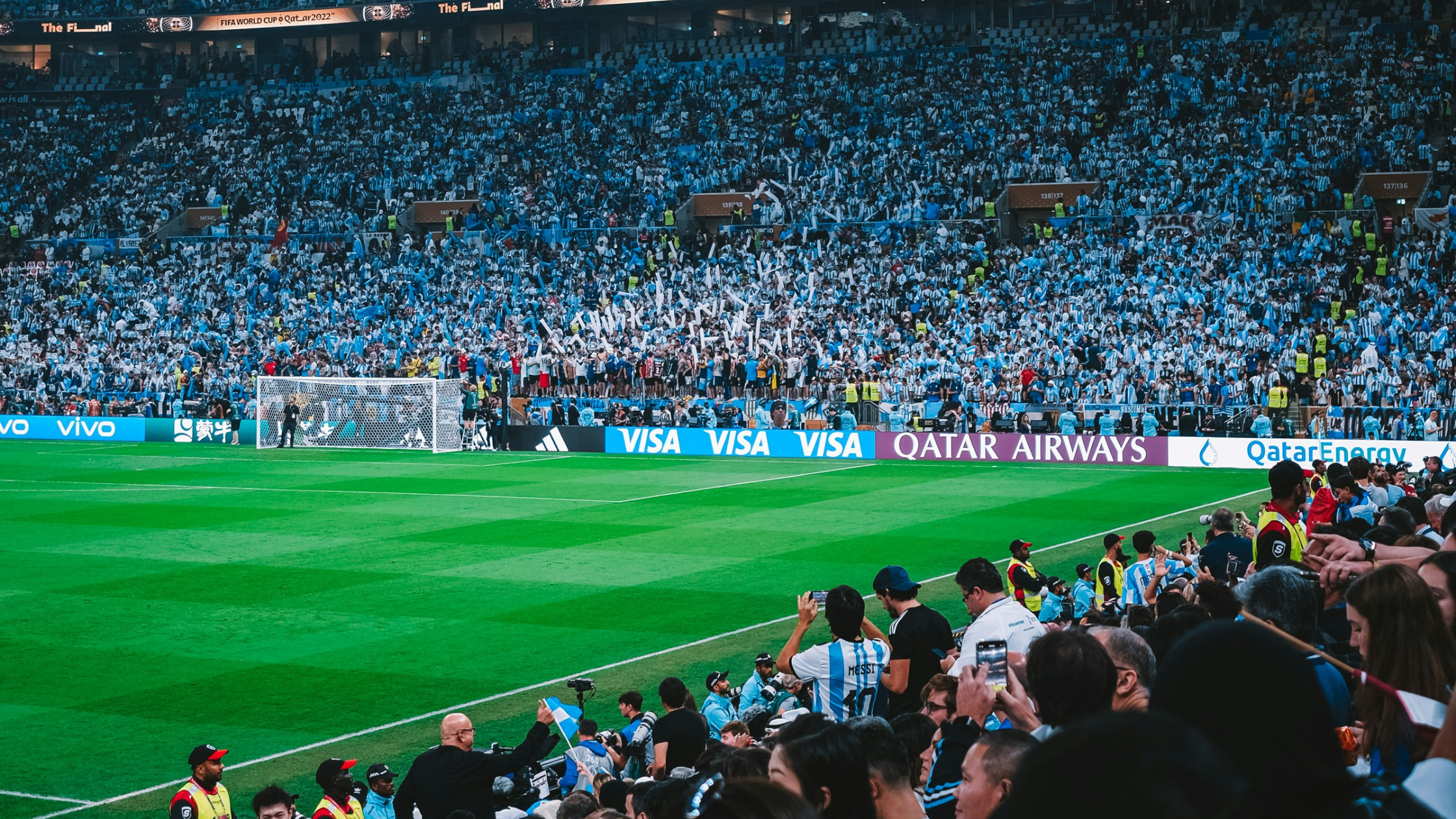 FIFA World Cup Crowd